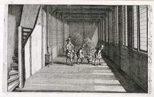 Flytte trær inn i hagen for sommeren, fra De Nederlandse Hesperides av Jan Commelin, utgitt 1676 av Dutch School