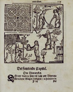 Planting trees, fra The Dutch Gardener av Johann van der Groen, utgitt 1699 av Dutch School