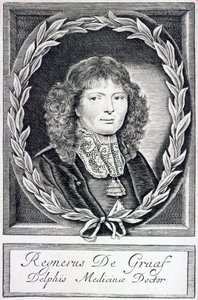 Regnier de Graaf, ca. 1670 av Dutch School