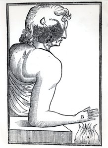 The Perception of the Senses, fra De Homine Figuris av Rene Descartes (1596-1650) utgitt i Amsterdam, 1677 av Dutch School