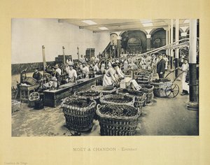 Tapping champagne, fra La France Vinicole, utgitt av Moet & Chandon, Epernay (photolitho)