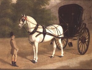 En grå hest og cabriolet med brudgom av E.M. Fox