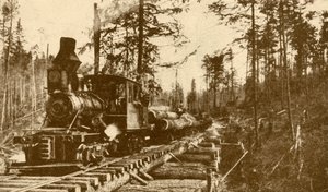 A Logging Railway, British Columbia, 1930. av ENA