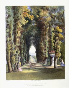 Vista" i Gardens of Teddesley, sete for den høyre ærede Lord Hatherton, 1857 av E. Adveno Brooke