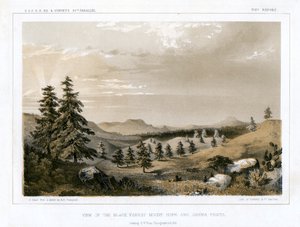 The Black Forest Mount Hope and Sierra Prieta, USA, 1856.   1134677   no       norwegian Successfully Translated  Original: Scherzi di Fantasia Translat: Scherzi di Fantasia 1293159 no norwegian Successfully Translated Original: The Martyrdom of Saint Paul av E Stout