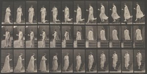 Dyrebevegelse. En elektrofotografisk undersøkelse... av dyrebevegelser. Begynn..., 1880-tallet. av Eadweard Muybridge