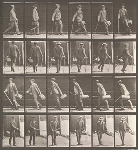 Dyrebevegelse. En elektrofotografisk undersøkelse... av dyrebevegelser. Begynn..., 1880-tallet. av Eadweard Muybridge