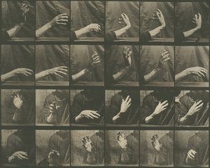 Dyrebevegelse, plate 535, 1887. av Eadweard Muybridge