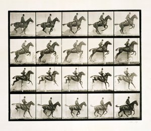 Mann og hest hopper et gjerde, 1887 av Eadweard Muybridge