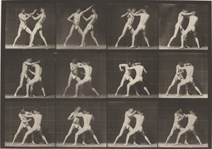 Plate nummer 340. Boksing, åpne håndsko, 1887. av Eadweard Muybridge
