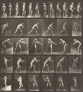 Plate nummer 521. A: Gående. B: Gå opp et trinn. C: Kaster disken. D: Ved hjelp av en spade..., 1887. av Eadweard Muybridge