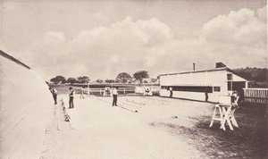 Hesten i bevegelse som vist ved øyeblikkelig fotografering. Med en studie om dyr..., 1881-1882. av Eadweard Muybridge
