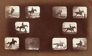Dyrs bevegelse (mann på hest over hinder) av Eadweard Muybridge