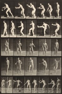  av Eadweard Muybridge