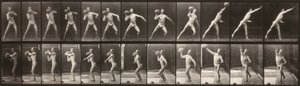  av Eadweard Muybridge