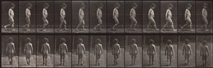 Animal Locomotion, plate 467 av Eadweard Muybridge