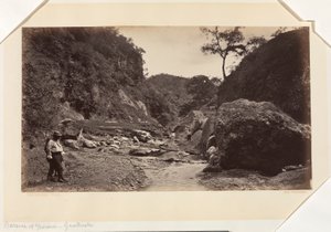  av Eadweard Muybridge