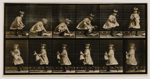  av Eadweard Muybridge