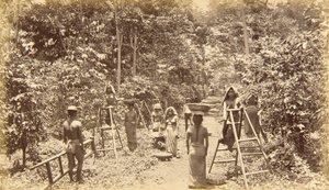  av Eadweard Muybridge