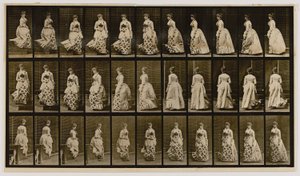  av Eadweard Muybridge