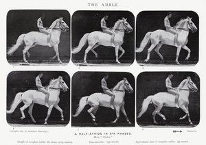 Eadweard Muybridge: The Amble av Eadweard Muybridge