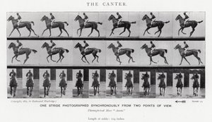 Eadweard Muybridge: The Canter (s/hvitt bilde) av Eadweard Muybridge