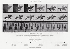 Eadweard Muybridge: The Gallop (s/hvitt-bilde) av Eadweard Muybridge