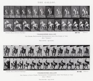 Eadweard Muybridge: The Gallop (s/hvitt-bilde) av Eadweard Muybridge