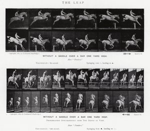 Eadweard Muybridge: The Leap (s/hvitt-bilde) av Eadweard Muybridge