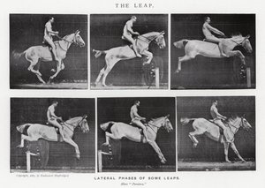 Eadweard Muybridge: The Leap (s/hvitt-bilde) av Eadweard Muybridge