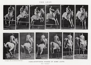 Eadweard Muybridge: The Leap (s/hvitt-bilde) av Eadweard Muybridge