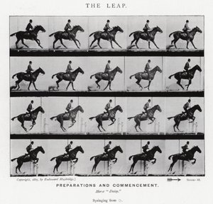 Eadweard Muybridge: The Leap (s/hvitt-bilde) av Eadweard Muybridge
