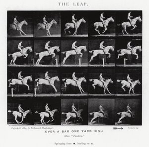 Eadweard Muybridge: The Leap (s/hvitt-bilde) av Eadweard Muybridge