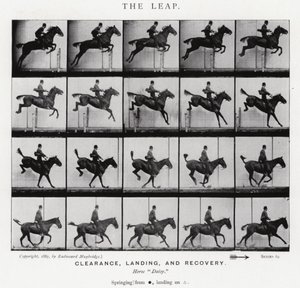 Eadweard Muybridge: The Leap (s/hvitt-bilde) av Eadweard Muybridge