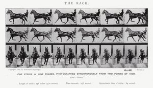 Eadweard Muybridge: The Rack (s/hvitt-bilde) av Eadweard Muybridge