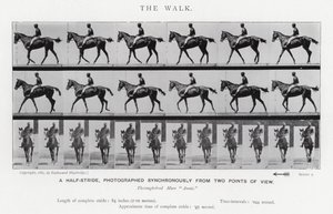Eadweard Muybridge: The Walk (s/hvitt bilde) av Eadweard Muybridge