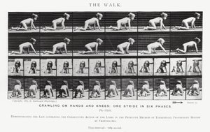 Eadweard Muybridge: The Walk (s/hvitt bilde) av Eadweard Muybridge