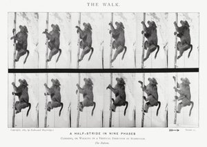Eadweard Muybridge: The Walk (s/hvitt bilde) av Eadweard Muybridge