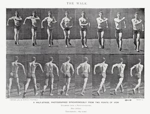 Eadweard Muybridge: The Walk (s/hvitt-bilde) av Eadweard Muybridge