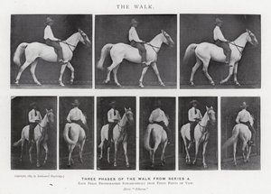 Eadweard Muybridge: The Walk (s/hvitt bilde) av Eadweard Muybridge