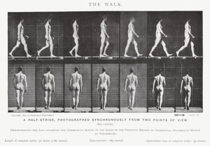 Eadweard Muybridge: The Walk (s/hvitt bilde) av Eadweard Muybridge
