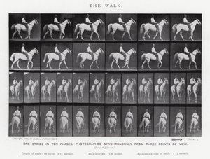 Eadweard Muybridge: The Walk (s/hvitt-bilde) av Eadweard Muybridge