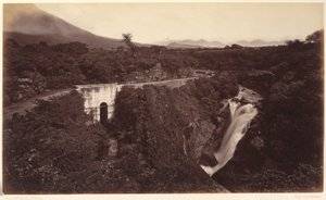  av Eadweard Muybridge