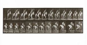 Galopperende hest med rytter, plate 635 fra Animal Locomotion, 1887 av Eadweard Muybridge