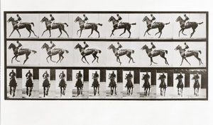 Hest og rytter, plate 621 fra Animal Locomotion, 1887 av Eadweard Muybridge
