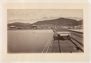  av Eadweard Muybridge