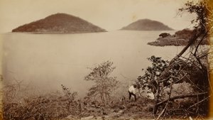  av Eadweard Muybridge