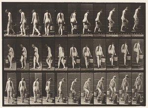 Plate 102. Svingende og stigende trapper, bøttevann i Rt Hand, 1872-1885 av Eadweard Muybridge