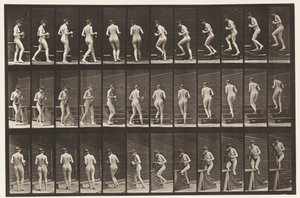 Plate 103. Svingende og stigende trapper, mugge og beger i hender, 1872-1885 av Eadweard Muybridge
