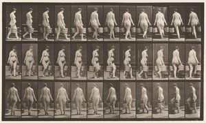 Plate 106. Vende for å gå opp trapper, bøtte med vann i hver hånd, 1872-1885 av Eadweard Muybridge